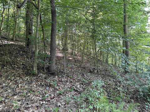 Lot 3 East Run Circle, Four States, WV 26572