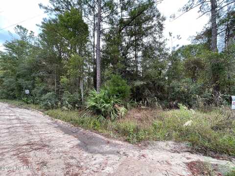 3357 BRANNAN OAKS Drive, Middleburg, FL 32068