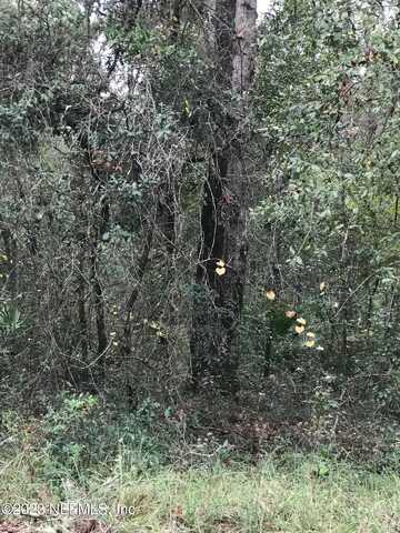 BRETT Avenue lot: 27, Interlachen, FL 32148
