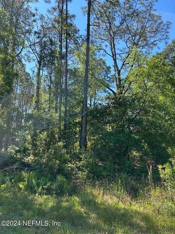 RHONDA Avenue lot: 32, Interlachen, FL 32148