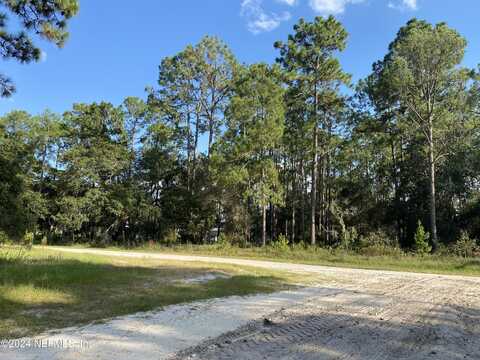 213 PONDEROSA PINES Court, Georgetown, FL 32139