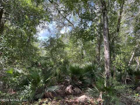 252 BREWSTER Street, Satsuma, FL 32189