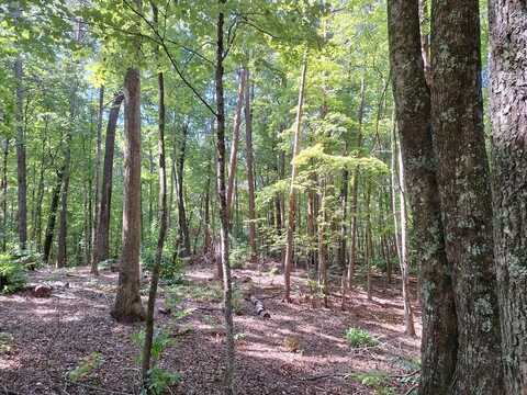 Crawford Road, Mc Caysville, GA 30555