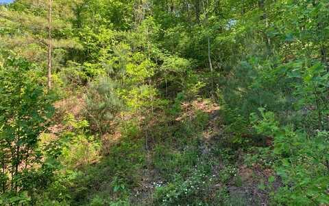 Lt4a Trillium Heights, Hayesville, NC 28904