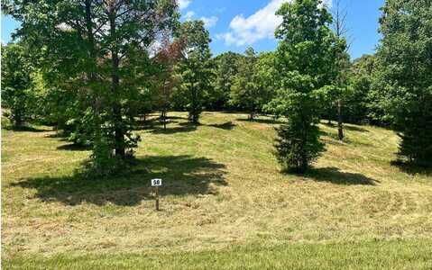 Lot 50 Northshore Drive, Blairsville, GA 30512