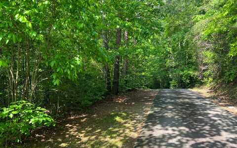 Lot 4 Chestnut Oaks Drive, Murphy, NC 28906