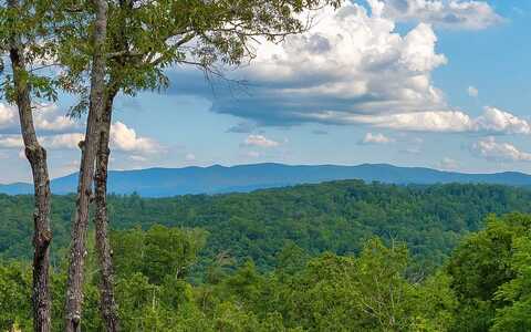 Lt 15 Hidden Acres, Blue Ridge, GA 30513