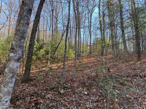 Lot 14 Acres Townhouse Cir, Blairsville, GA 30512