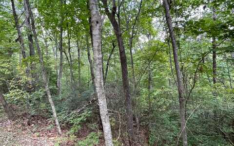 Lt 20 Enchanted Ridge, Hayesville, NC 28904