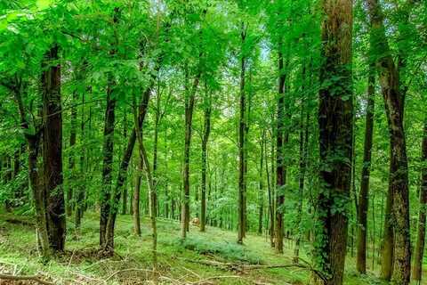 Lot M165 Walnut Mountain, Ellijay, GA 30540