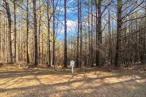 Foxpaw Leaf Lane, Ellijay, GA 30536