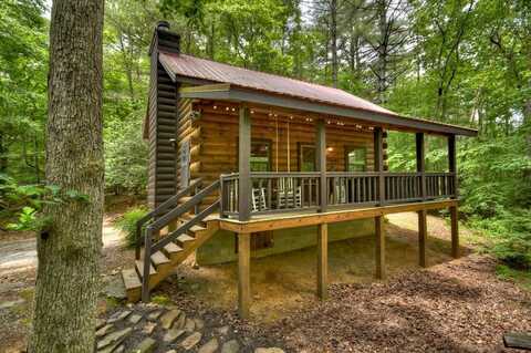 986 Joanne Sisson Road, Blue Ridge, GA 30513