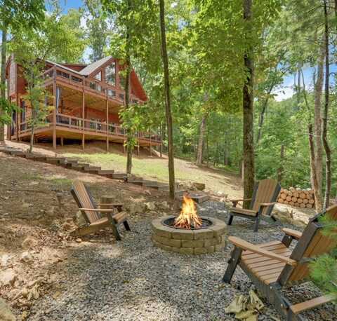 356 Mountain Trace, Cherry Log, GA 30522