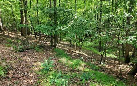 Oneida Circle, Ellijay, GA 30540