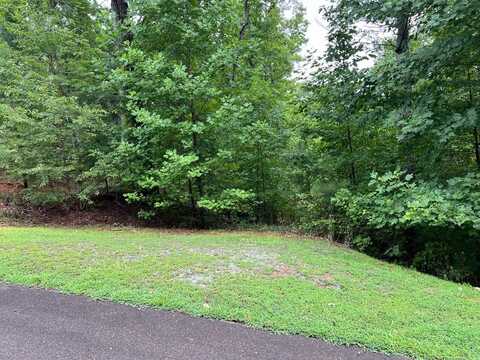 Harris Creek Drive, Ellijay, GA 30540