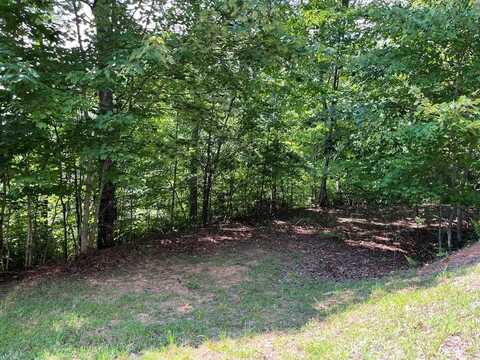 Lot #26 Double Knob Drive E, Hayesville, NC 28904