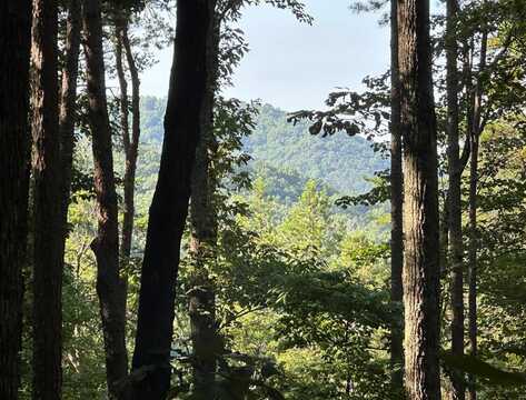 Lt. 27r Tanager Trail, Ellijay, GA 30540