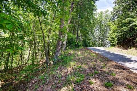 Newport Drive, Ellijay, GA 30540