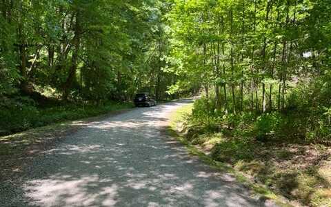 Lot5 Pine Ridge Drive, Warne, NC 28909