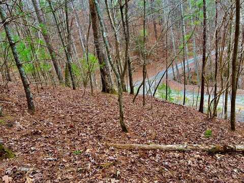 2961 Newton Lane, Ellijay, GA 30540