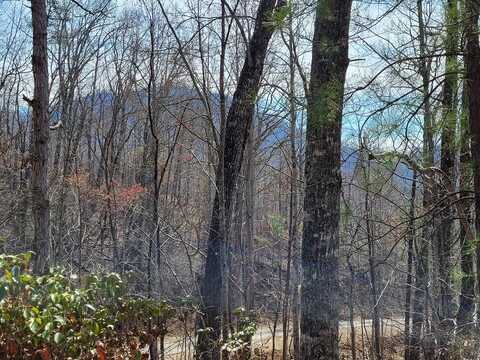 14 Flaming Ridge, Hayesville, NC 28904