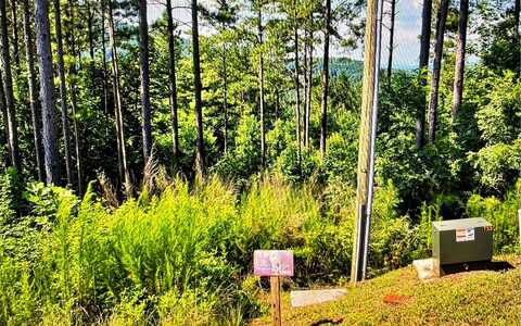 Lt 74 Ridge Crest, Blairsville, GA 30512