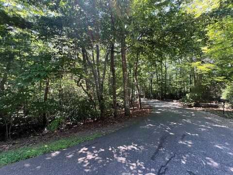 Lot 10 Moon Shadow, Blairsville, GA 30512