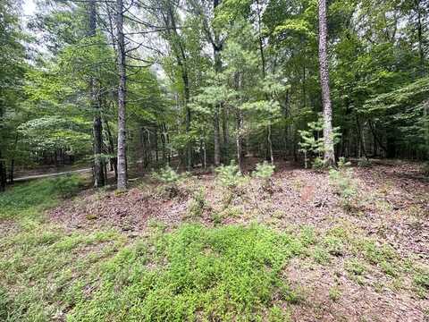 2.06 Ac River Ridge Lane, Blue Ridge, GA 30513