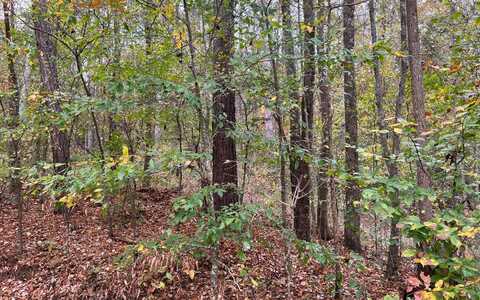 Baugh Mountain Road, Sugar Valley, GA 30746