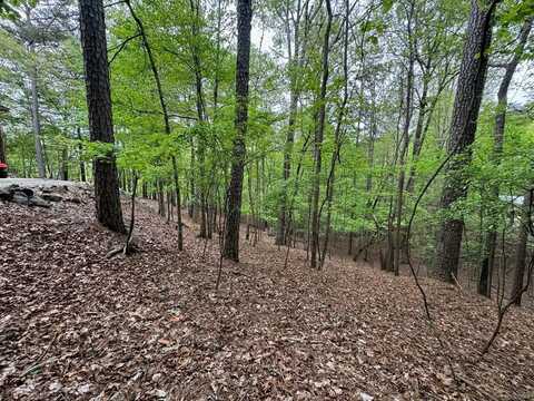 Lot 1833 Newport Drive, Ellijay, GA 30540