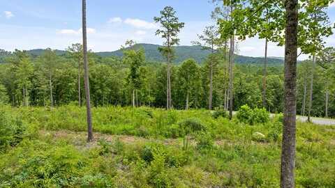 Lot 345 Timber Creek Trail, Talking Rock, GA 30175