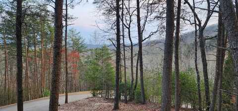 34 Wilderness Creek Way, Murphy, NC 28906