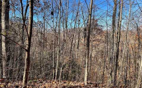 49j Mountain Harbour Drive, Hayesville, NC 28904