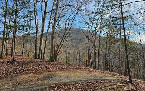 160 Tracks Hollow, Murphy, NC 28906