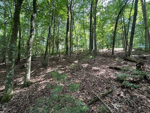 Lot 305 Seneca Dr, Ellijay, GA 30540