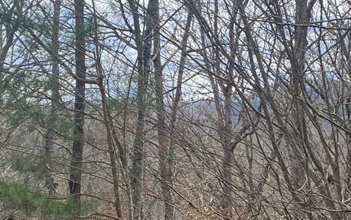 LT 47 Ralston Gap Rd  
