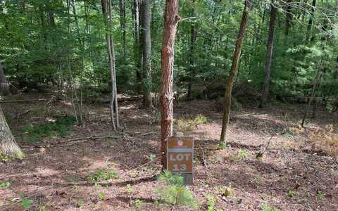 Lot13 Sour Apple Lane, Blairsville, GA 30512