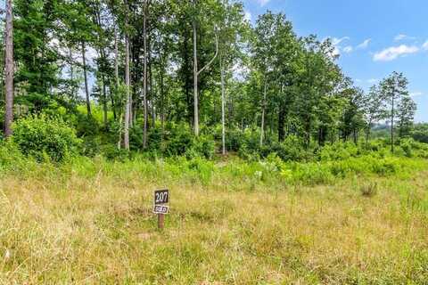 Lot 207 Oak Park Drive, Talking Rock, GA 30175