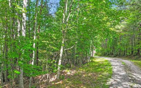 North View Trail, Mineral Bluff, GA 30559