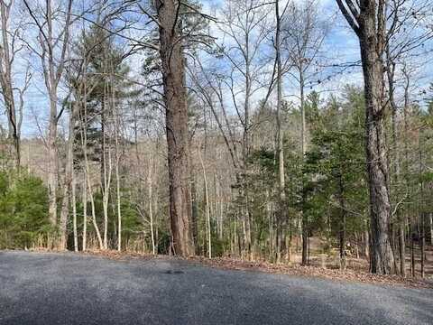 Lot 10 Lower Fox Trail Road, Blairsville, GA 30512