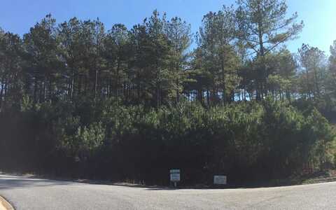 Lot 3 Pinehurst Road, Blairsville, GA 30512