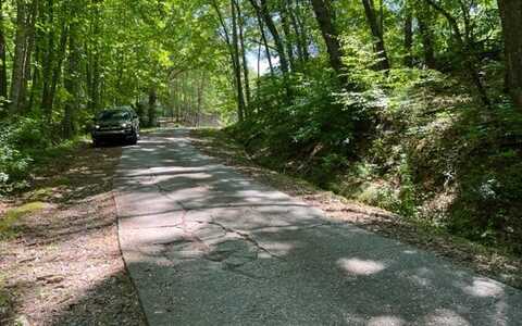 Lot6 Pine Ridge Drive, Warne, NC 28909