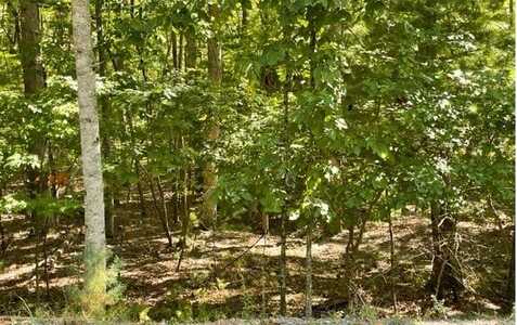 8 Ac Payne Way, Blairsville, GA 30512