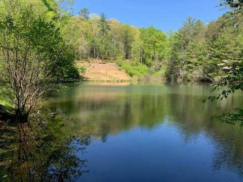 1293 Hidden Lake Drive, Cherry Log, GA 30522