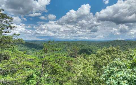 22.97 Ac Galloway Rd, Blue Ridge, GA 30513