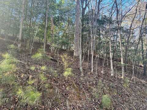 934 Lot Ezra, Ellijay, GA 30540