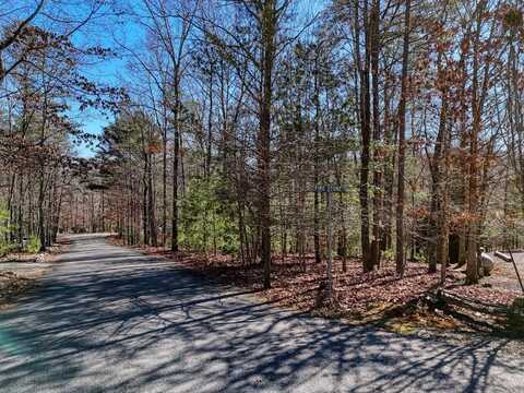 Lot 20 Wrought Iron Trail, Morganton, GA 30560