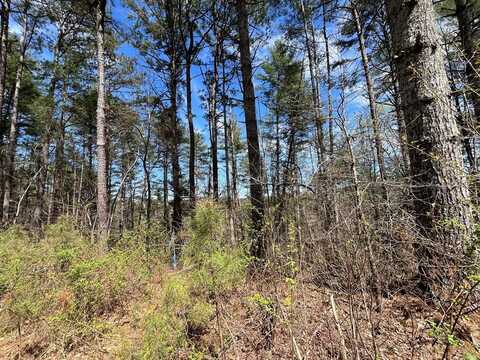 Lot 131 Jumper Drive, Ellijay, GA 30540