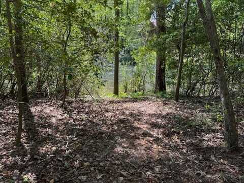 Shallowford Bridge, Blue Ridge, GA 30513