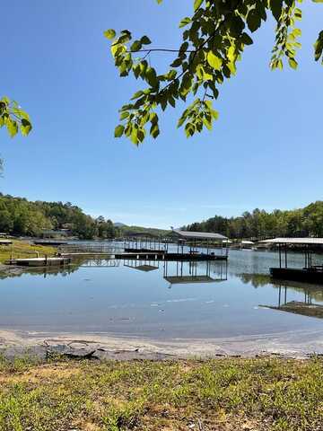 .60 Acre PN Watkins Road, Blairsville, GA 30512